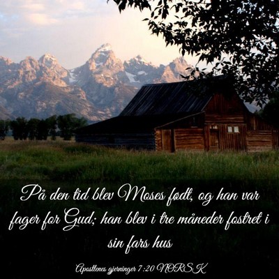 Picture 03 - Apostlenes gjerninger 7:20 NORSK - På den tid blev Moses født, og han var fager - Bible Verse Picture