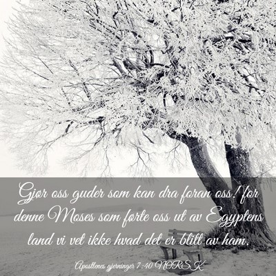 Picture 03 - Apostlenes gjerninger 7:40 NORSK - Gjør oss guder som kan dra foran oss! for denne - Bible Verse Picture