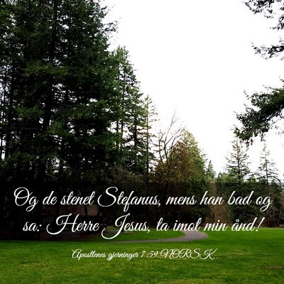 Picture 03 - Apostlenes gjerninger 7:59 NORSK - Og de stenet Stefanus, mens han bad og sa: Herre - Bible Verse Picture