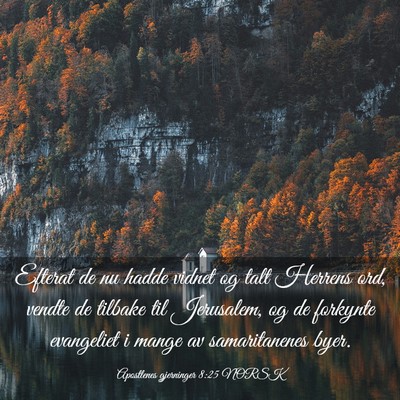Picture 03 - Apostlenes gjerninger 8:25 NORSK - Efterat de nu hadde vidnet og talt Herrens ord, - Bible Verse Picture