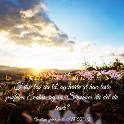 Picture 03 - Apostlenes gjerninger 8:30 NORSK - Filip løp da til, og hørte at han leste - Bible Verse Picture