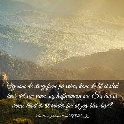 Picture 03 - Apostlenes gjerninger 8:36 NORSK - Og som de drog frem på veien, kom de til et sted - Bible Verse Picture