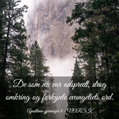 Picture 03 - Apostlenes gjerninger 8:4 NORSK - De som nu var adspredt, drog omkring og forkynte - Bible Verse Picture