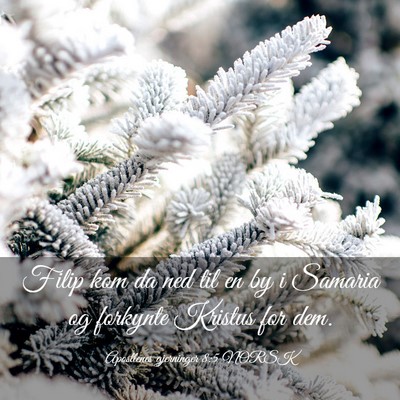 Picture 03 - Apostlenes gjerninger 8:5 NORSK - Filip kom da ned til en by i Samaria og forkynte - Bible Verse Picture