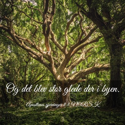 Picture 03 - Apostlenes gjerninger 8:8 NORSK - Og det blev stor glede der i - Bible Verse Picture
