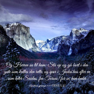 Picture 03 - Apostlenes gjerninger 9:11 NORSK - Og Herren sa til ham: Stå op og gå bort i den - Bible Verse Picture