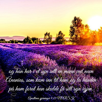 Picture 03 - Apostlenes gjerninger 9:12 NORSK - og han har i et syn sett en mann ved navn - Bible Verse Picture