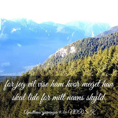 Picture 03 - Apostlenes gjerninger 9:16 NORSK - for jeg vil vise ham hvor meget han skal lide for - Bible Verse Picture