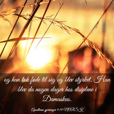 Picture 03 - Apostlenes gjerninger 9:19 NORSK - og han tok føde til sig og blev styrket. Han - Bible Verse Picture