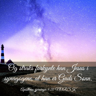 Picture 03 - Apostlenes gjerninger 9:20 NORSK - Og straks forkynte han Jesus i synagogene, at han - Bible Verse Picture