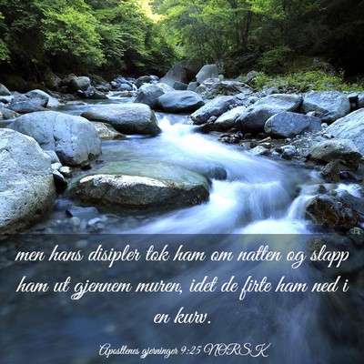 Picture 03 - Apostlenes gjerninger 9:25 NORSK - men hans disipler tok ham om natten og slapp ham - Bible Verse Picture