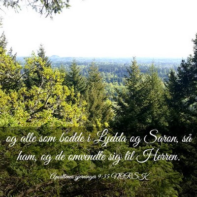 Picture 03 - Apostlenes gjerninger 9:35 NORSK - og alle som bodde i Lydda og Saron, så ham, og - Bible Verse Picture