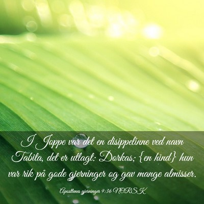 Picture 03 - Apostlenes gjerninger 9:36 NORSK - I Joppe var det en disippelinne ved navn Tabita, - Bible Verse Picture