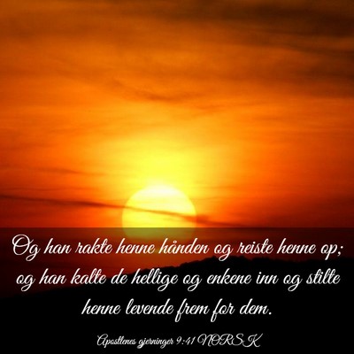 Picture 03 - Apostlenes gjerninger 9:41 NORSK - Og han rakte henne hånden og reiste henne op; og - Bible Verse Picture
