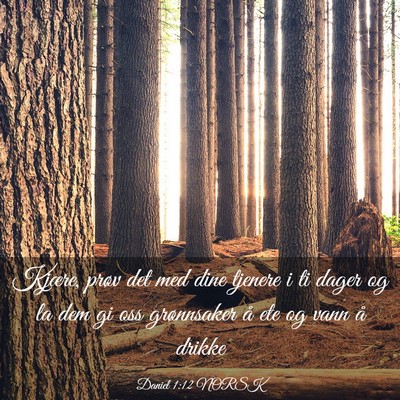 Picture 03 - Daniel 1:12 NORSK - Kjære, prøv det med dine tjenere i ti dager og - Bible Verse Picture