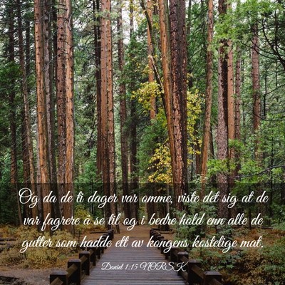 Picture 03 - Daniel 1:15 NORSK - Og da de ti dager var omme, viste det sig at de - Bible Verse Picture