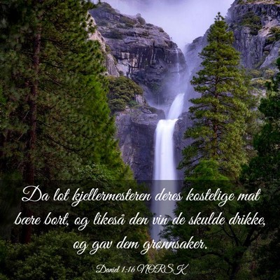 Picture 03 - Daniel 1:16 NORSK - Da lot kjellermesteren deres kostelige mat bære - Bible Verse Picture