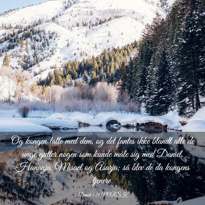 Picture 03 - Daniel 1:19 NORSK - Og kongen talte med dem, og det fantes ikke - Bible Verse Picture