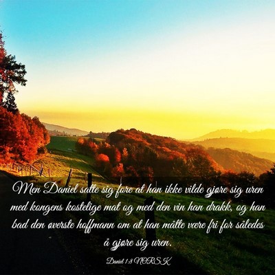Picture 03 - Daniel 1:8 NORSK - Men Daniel satte sig fore at han ikke vilde - Bible Verse Picture