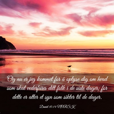 Picture 03 - Daniel 10:14 NORSK - Og nu er jeg kommet for å oplyse dig om hvad som - Bible Verse Picture