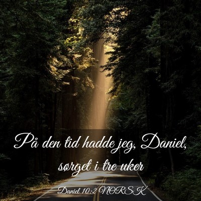 Picture 03 - Daniel 10:2 NORSK - På den tid hadde jeg, Daniel, sørget i tre - Bible Verse Picture