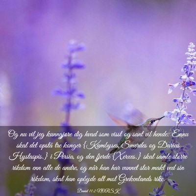 Picture 03 - Daniel 11:2 NORSK - Og nu vil jeg kunngjøre dig hvad som visst og - Bible Verse Picture
