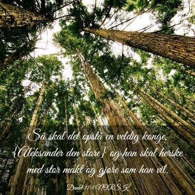 Picture 03 - Daniel 11:3 NORSK - Så skal det opstå en veldig konge, {Aleksander - Bible Verse Picture