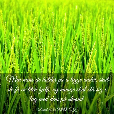Picture 03 - Daniel 11:34 NORSK - Men mens de holder på å ligge under, skal de - Bible Verse Picture