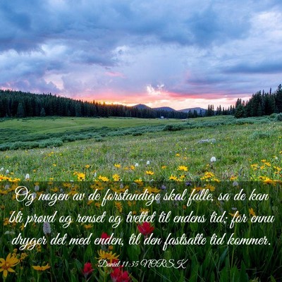 Picture 03 - Daniel 11:35 NORSK - Og nogen av de forstandige skal falle, sa de kan - Bible Verse Picture
