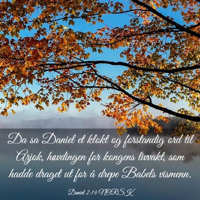 Picture 03 - Daniel 2:14 NORSK - Da sa Daniel et klokt og forstandig ord til - Bible Verse Picture