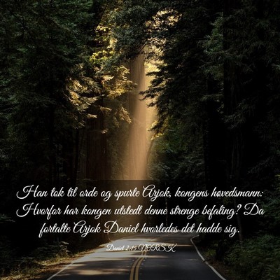 Picture 03 - Daniel 2:15 NORSK - Han tok til orde og spurte Arjok, kongens - Bible Verse Picture