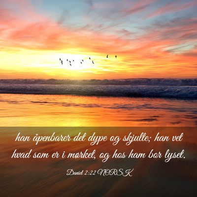 Picture 03 - Daniel 2:22 NORSK - han åpenbarer det dype og skjulte; han vet hvad - Bible Verse Picture