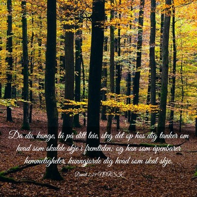 Picture 03 - Daniel 2:29 NORSK - Da du, konge, lå på ditt leie, steg det op hos - Bible Verse Picture