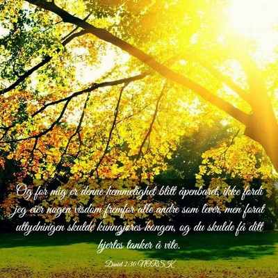 Picture 03 - Daniel 2:30 NORSK - Og for mig er denne hemmelighet blitt åpenbaret, - Bible Verse Picture