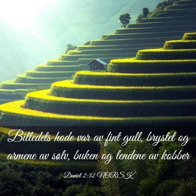 Picture 03 - Daniel 2:32 NORSK - Billedets hode var av fint gull, brystet og - Bible Verse Picture