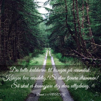 Picture 03 - Daniel 2:4 NORSK - Da talte kaldeerne til kongen på araméisk: - Bible Verse Picture