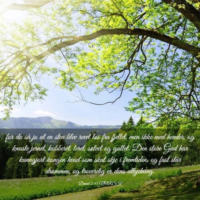 Picture 03 - Daniel 2:45 NORSK - for du så jo at en sten blev revet løs fra - Bible Verse Picture