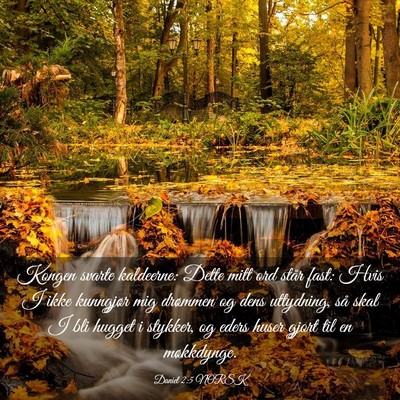 Picture 03 - Daniel 2:5 NORSK - Kongen svarte kaldeerne: Dette mitt ord står - Bible Verse Picture