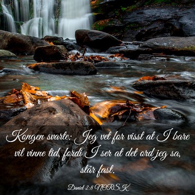 Picture 03 - Daniel 2:8 NORSK - Kongen svarte: Jeg vet for visst at I bare vil - Bible Verse Picture