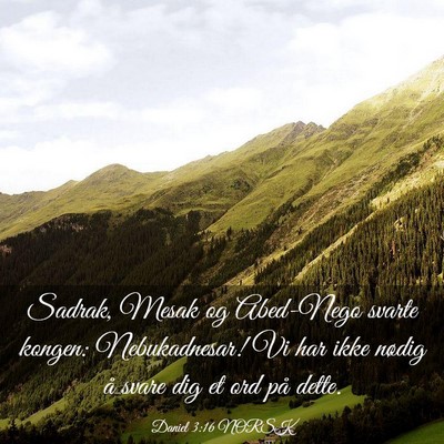 Picture 03 - Daniel 3:16 NORSK - Sadrak, Mesak og Abed-Nego svarte kongen: - Bible Verse Picture