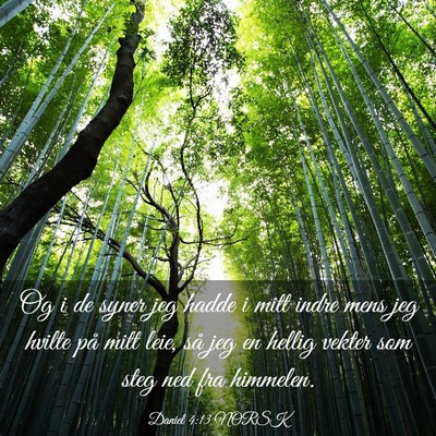 Picture 03 - Daniel 4:13 NORSK - Og i de syner jeg hadde i mitt indre mens jeg - Bible Verse Picture