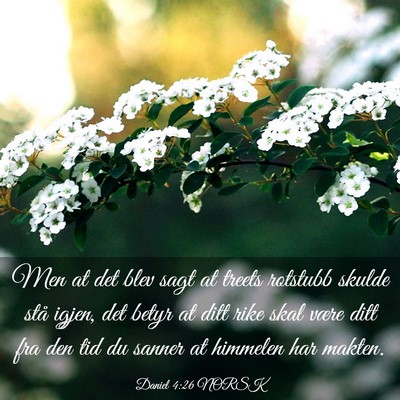 Picture 03 - Daniel 4:26 NORSK - Men at det blev sagt at treets rotstubb skulde - Bible Verse Picture