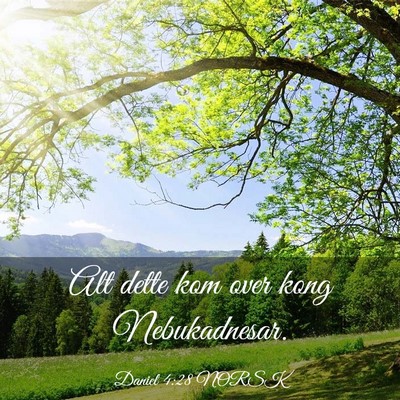 Picture 03 - Daniel 4:28 NORSK - Alt dette kom over kong - Bible Verse Picture
