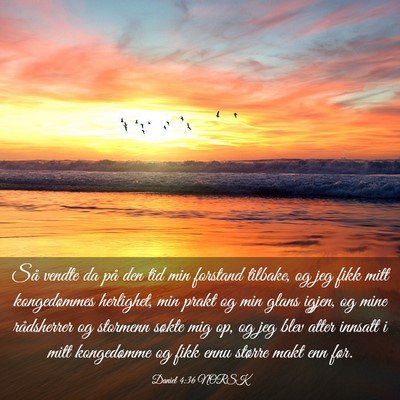 Picture 03 - Daniel 4:36 NORSK - Så vendte da på den tid min forstand tilbake, - Bible Verse Picture