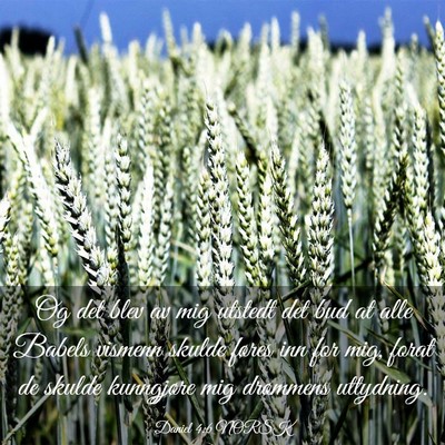 Picture 03 - Daniel 4:6 NORSK - Og det blev av mig utstedt det bud at alle Babels - Bible Verse Picture