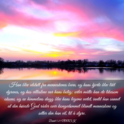 Picture 03 - Daniel 5:21 NORSK - Han blev utstøtt fra menneskenes barn, og hans - Bible Verse Picture