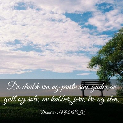 Picture 03 - Daniel 5:4 NORSK - De drakk vin og priste sine guder av gull og - Bible Verse Picture