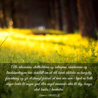 Picture 03 - Daniel 6:7 NORSK - Alle riksrådene, stattholderne og satrapene, - Bible Verse Picture