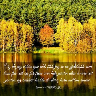 Picture 03 - Daniel 8:5 NORSK - Og da jeg videre gav akt, fikk jeg se en - Bible Verse Picture