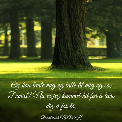 Picture 03 - Daniel 9:22 NORSK - Og han lærte mig og talte til mig og sa: Daniel! - Bible Verse Picture
